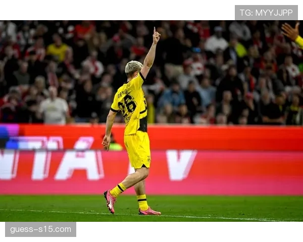 布格尔梅开二度助霍芬海姆逆转获胜 布格尔梅开二度助霍芬海姆逆转获胜