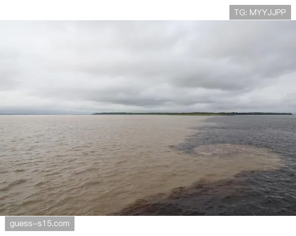 冬窗开启48小时，西汉姆连签卡斯特利亚诺斯与帕布洛