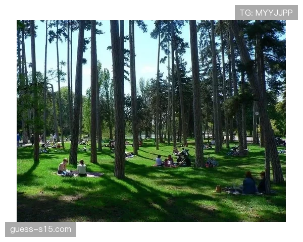 巴黎布洛涅看台扩容，旨在重现魔鬼主场